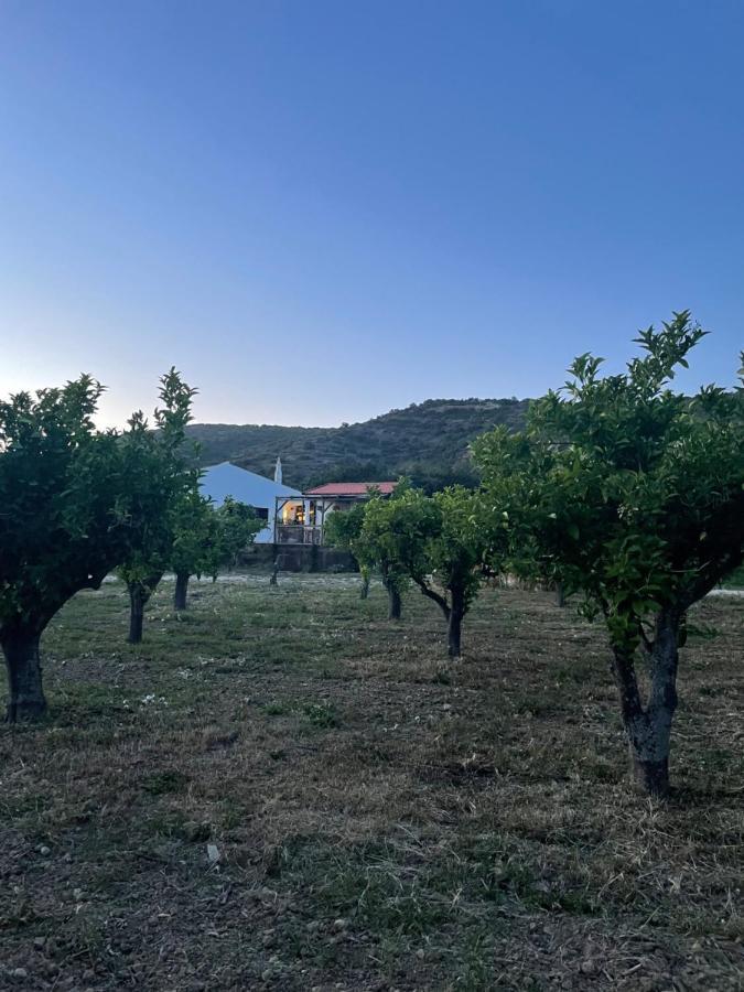 Quinta Da Boa Sorte Эштой Экстерьер фото